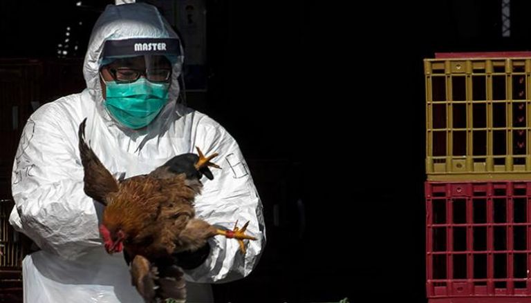 ثاني حالة وفاة بإنفلوانزا الطيور في هونج كونج