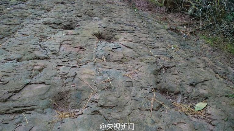 آثار أقدام الديناصورات