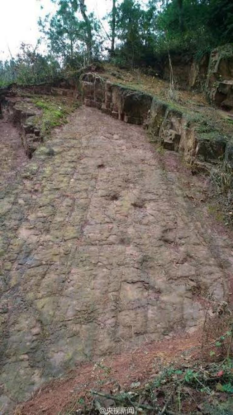 آثار أقدام الديناصورات