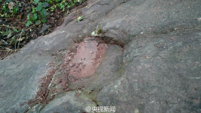 آثار أقدام الديناصورات