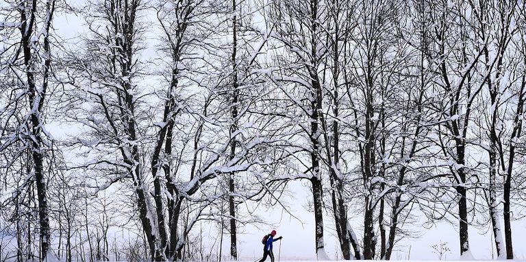 الثلوج تغطي مناطق بجنوب ألمانيا (الفرنسية)
