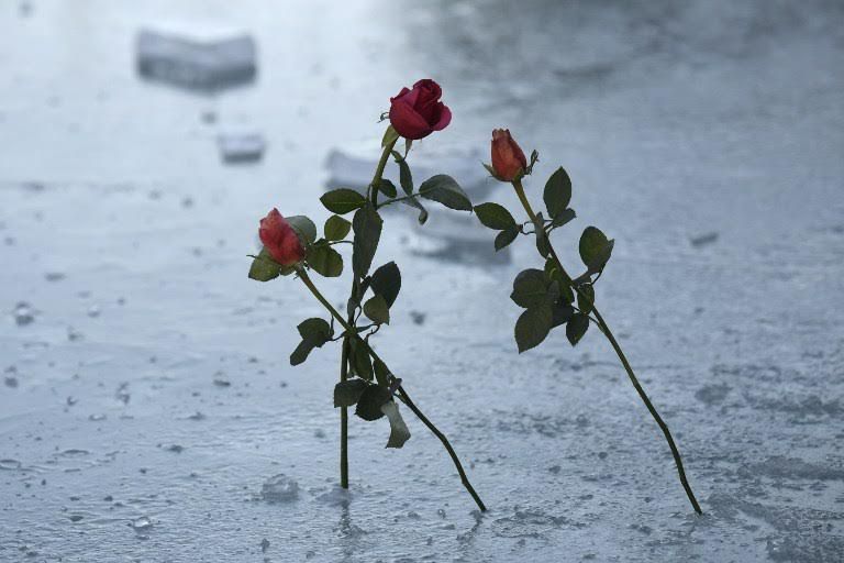 معاناة من البرودة في جنوب وشرق آسيا