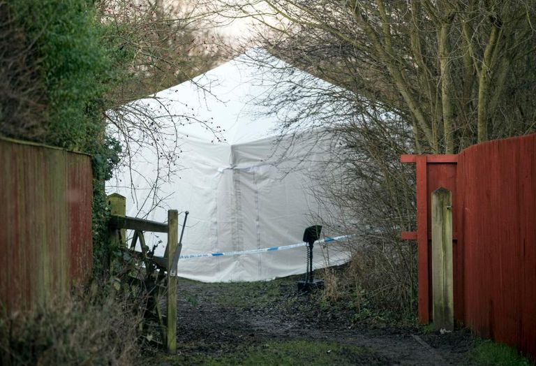 الطفلة الضحية