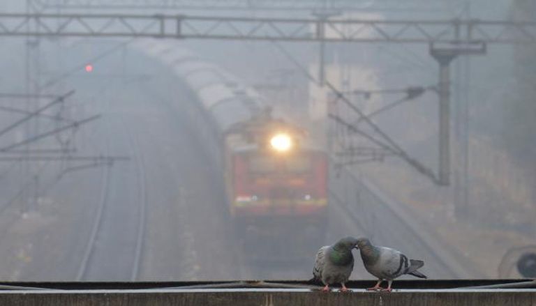 الضباب يؤخر رحلات جوية ويلغي قطارات بالهند