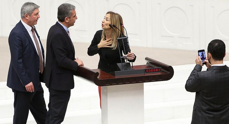 النائبة إيلين نزلياكا