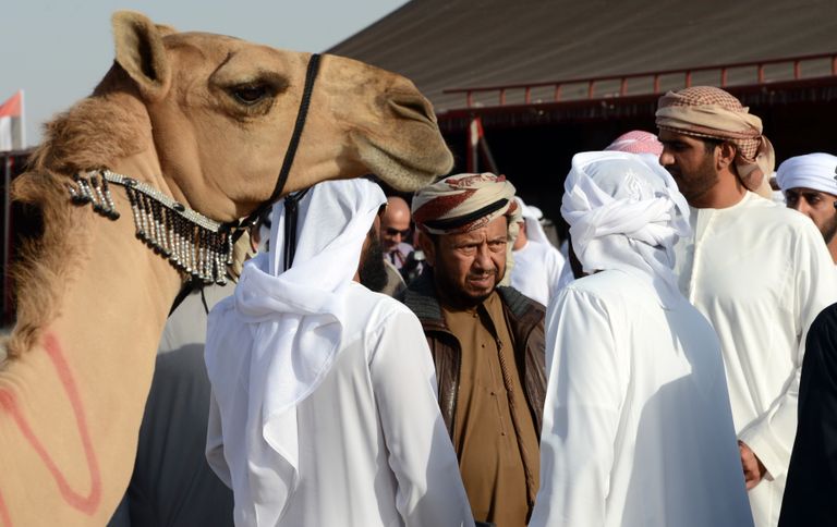 مهرجان سلطان بن زايد التراثي