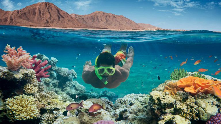 شراكة بين هيئة السياحة المصرية وسي إن إن 