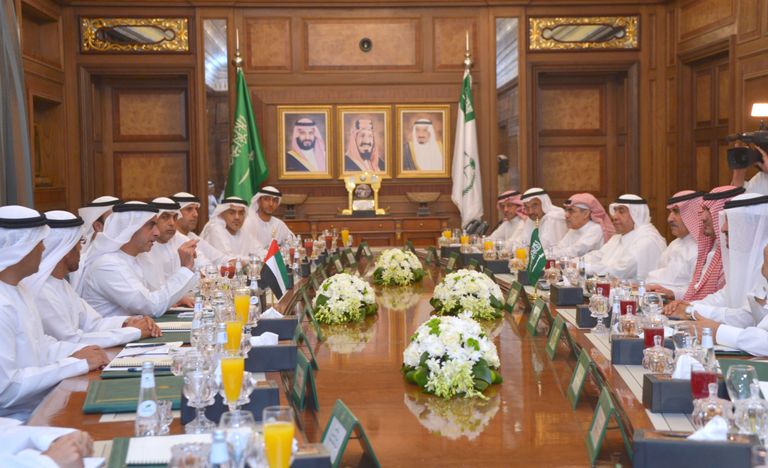 سيف بن زايد يلتقي وزير الداخلية السعودي في جدة