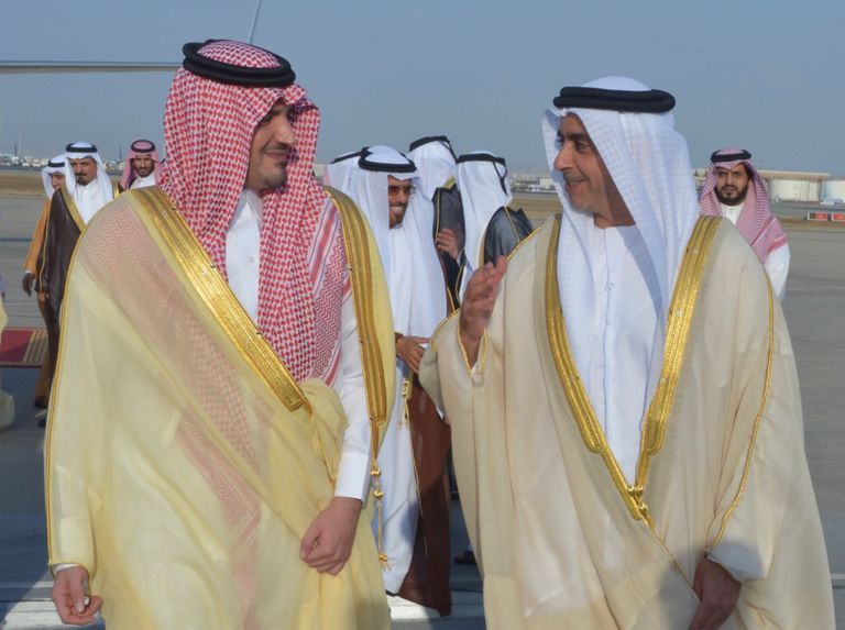 سيف بن زايد يلتقي وزير الداخلية السعودي في جدة