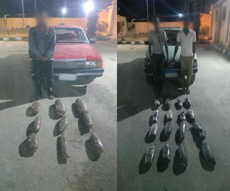 مضبوطات الجيش المصري