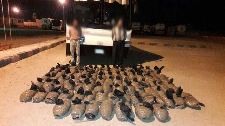 قوات من الجيش المصري