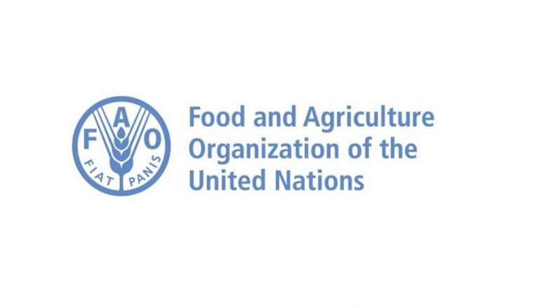الإمارات تشارك في أعمال الدورة الـ44 لـ"لجنة الأمن الغذائي" بروما
