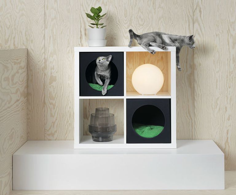 كنبة الكلاب المفضلة