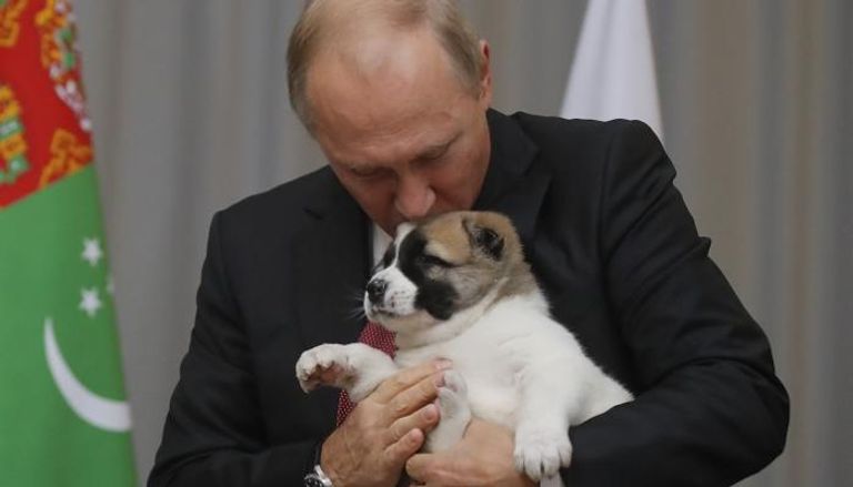 بوتين يُقبل الجرو الجديد - أ. ف. ب