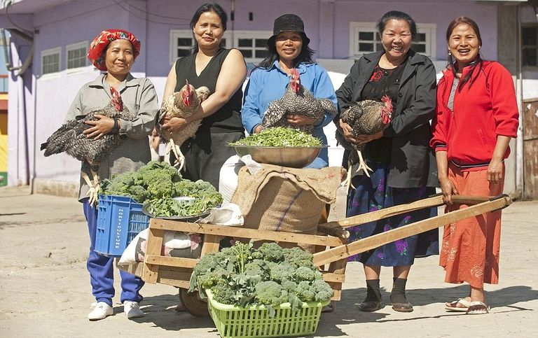 الهندي صاحب أكبر عائلة في العالم