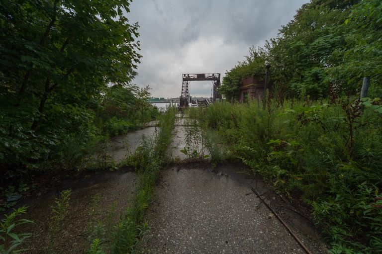 ما سر الجزيرة المهجورة في نيويورك؟