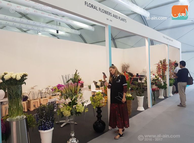 إقبال لافت من الزوار على فعاليات المسابقة