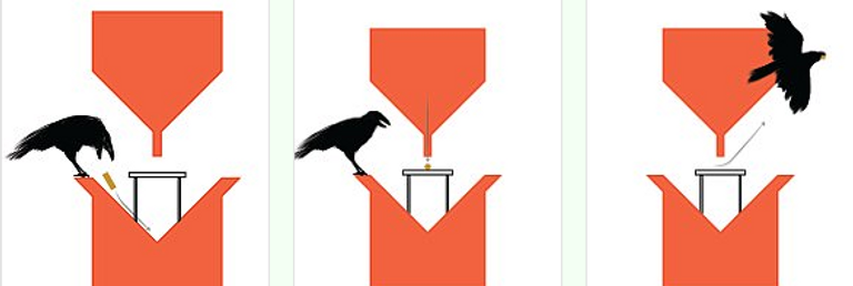 مطور جهاز جمع القمامة الخاص بالغربان