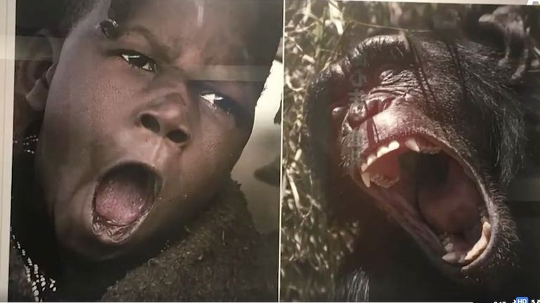 معرض "هذه هي أفريقيا" الصيني