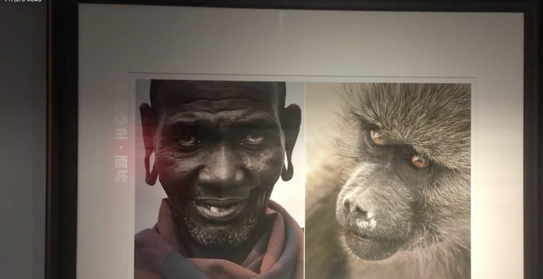 معرض "هذه هي أفريقيا" الصيني