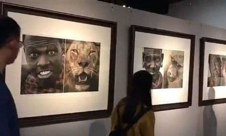 معرض "هذه هي أفريقيا" الصيني