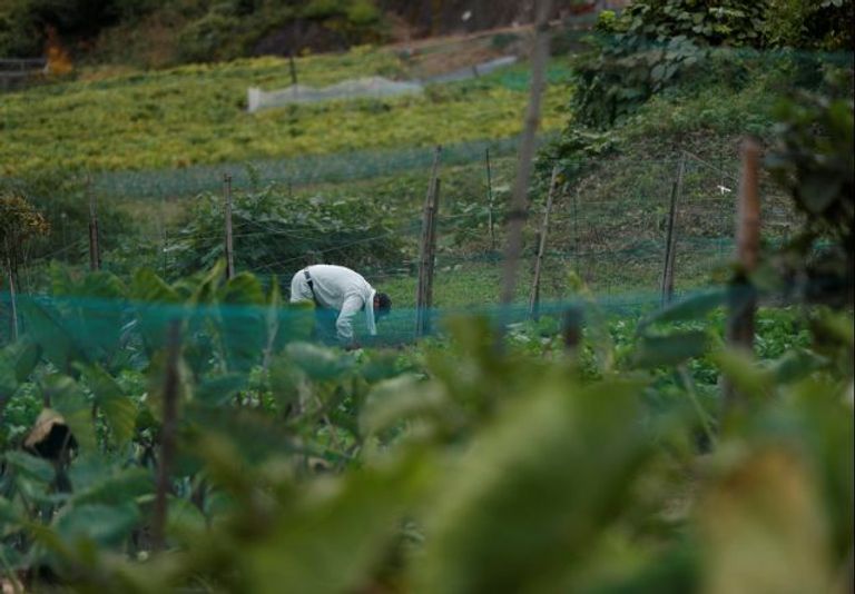 إجراء الانتخابات اليابانية وسط تجاهل شعبي