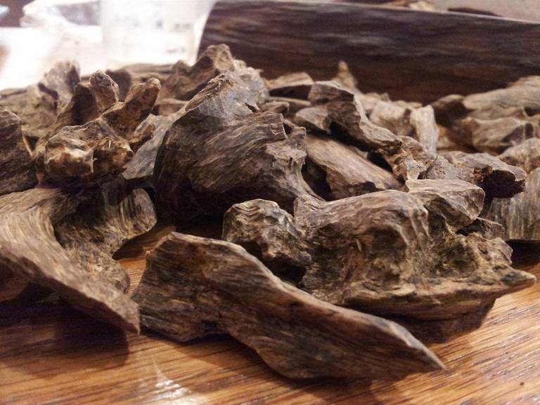 منصة هوية أبوظبي