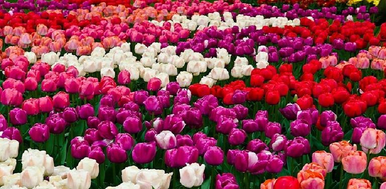 منصة هوية أبوظبي