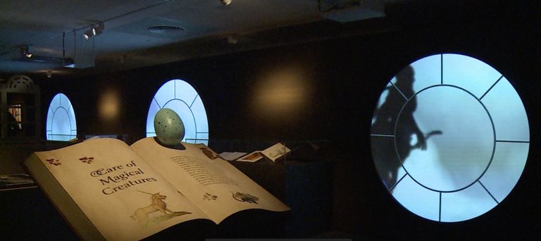 معرض هاري بوتر