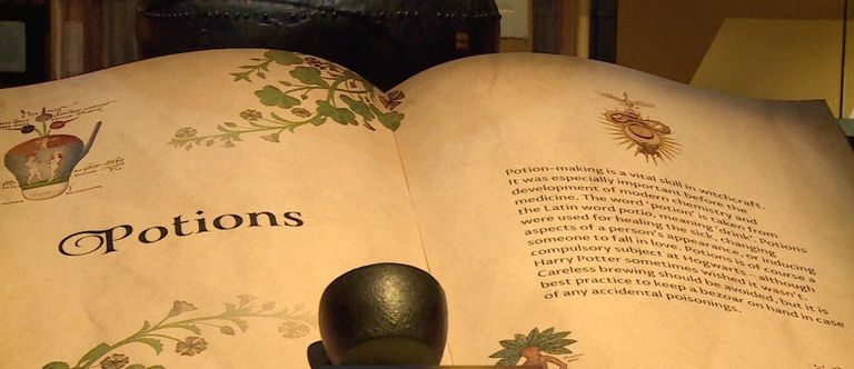 معرض هاري بوتر