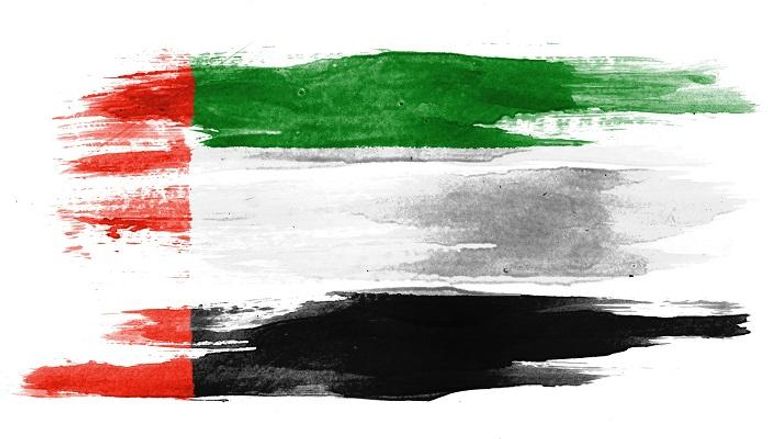 علم دولة الإمارات بلمسة تشكيلية