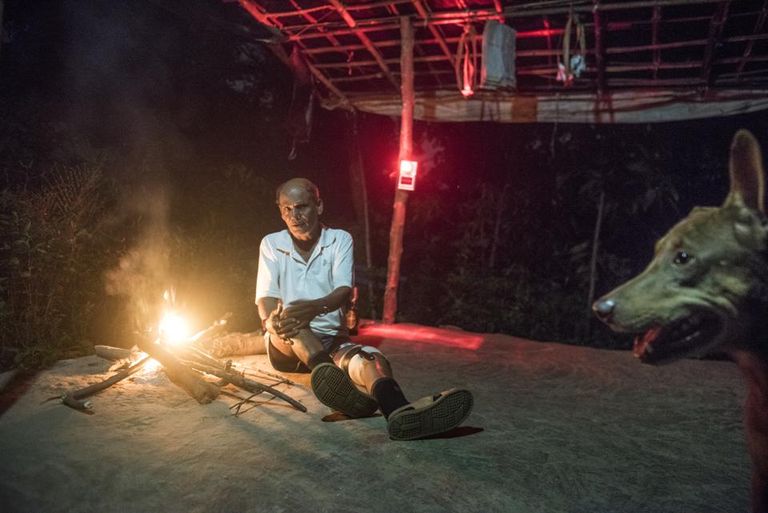 النمور تطرد سكان إحدى قرى مومباي