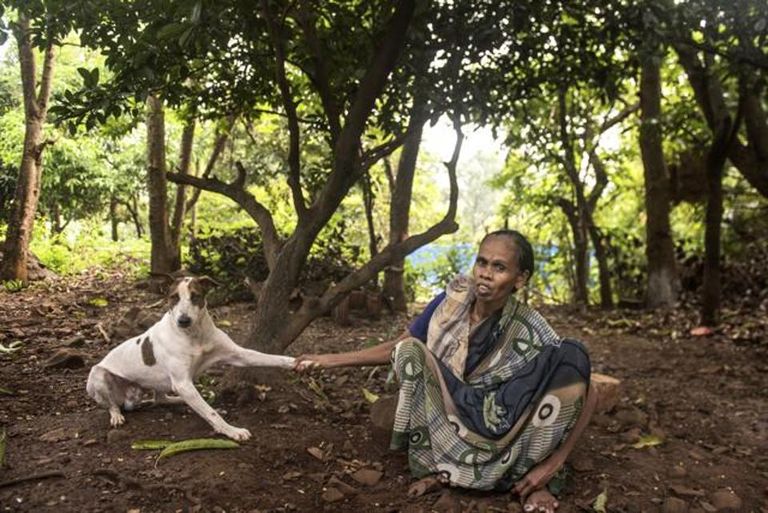 النمور تطرد سكان إحدى قرى مومباي