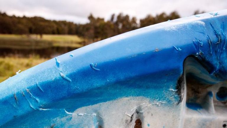 زعنفة القرش تظهر في المياه قرب قارب التجديف الخاص بسارة ويليامز