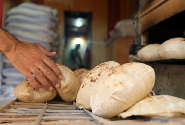 قواعد جديدة لاستيراد القمح بمصر