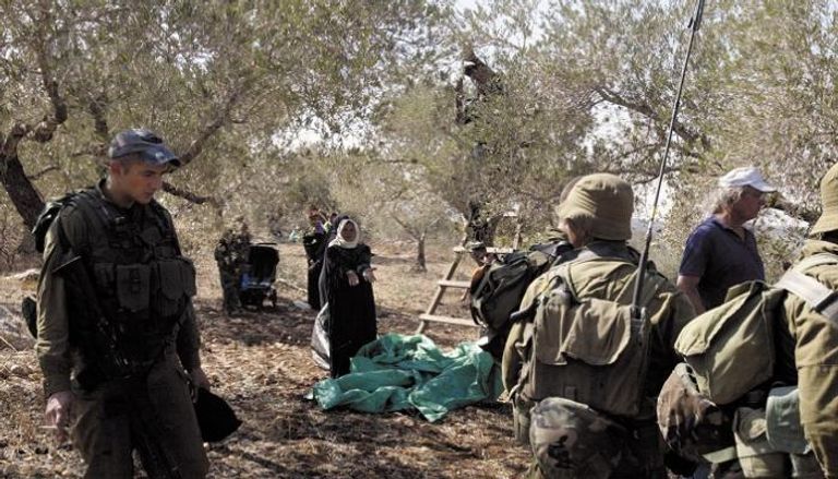 إسرائيليون يعتدون على مزارع الزيتون