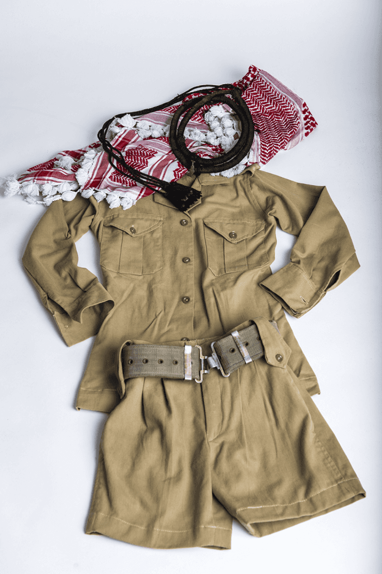 أحد المعروضات في "قوة الساحل المتصالح"