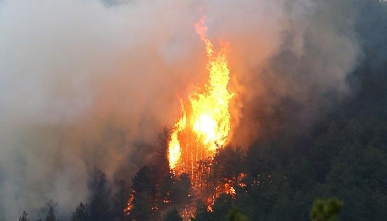 حرائق الغابات تسيطر على غرب إيطاليا