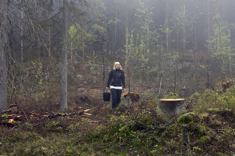 مُصممة "غابة المستقبل" مع الكندية مارجريت آتوود