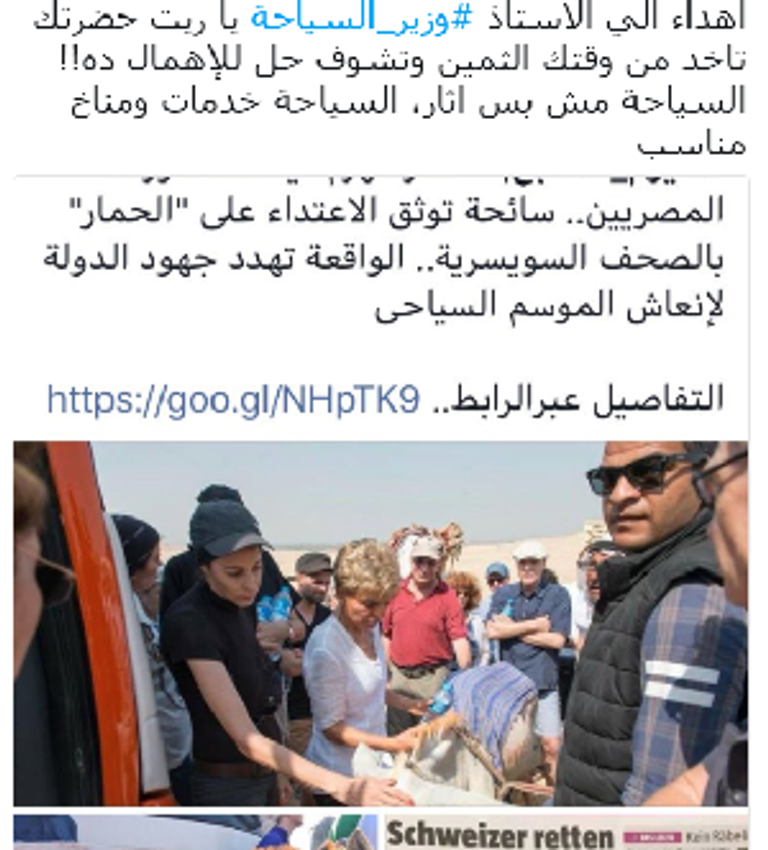 الفنانة شيرين رضا