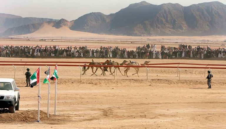 مضمار الشيخ زايد للهجن في وادي رم بالأردن