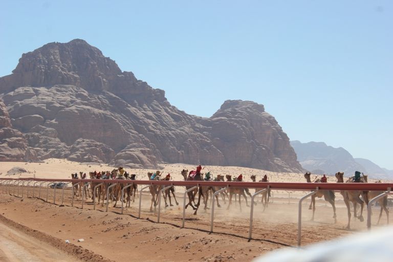 مضمار الشيخ زايد للهجن في وادي رم بالأردن