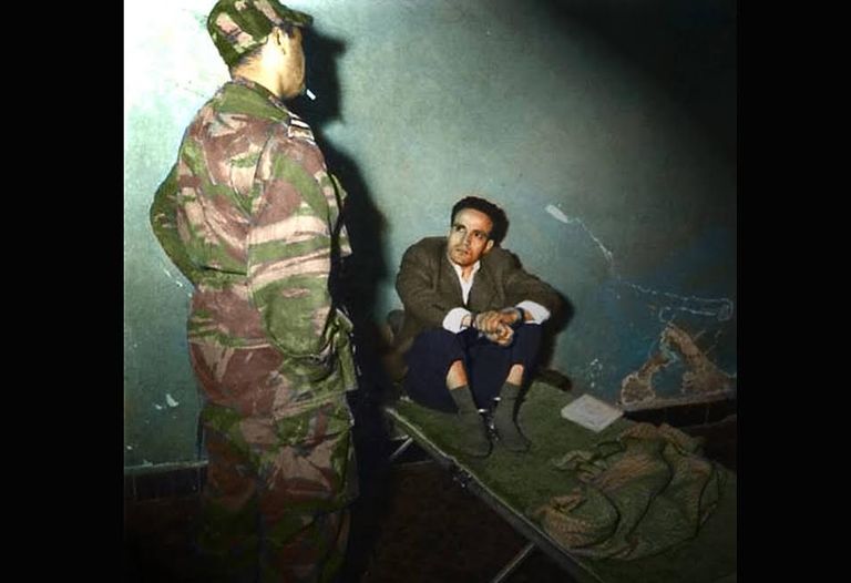 احتفالات جزائرية بالنصر