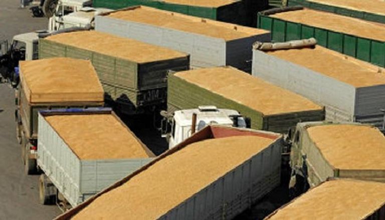 العراق يسعى لشراء 50 ألف طن من القمح 