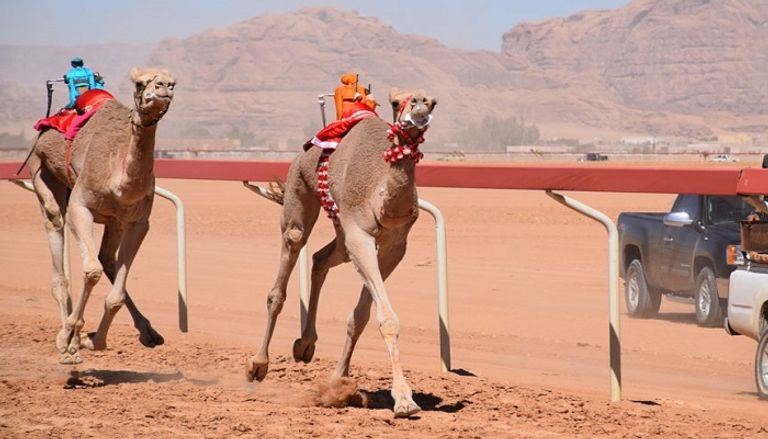 لقطة من السباق