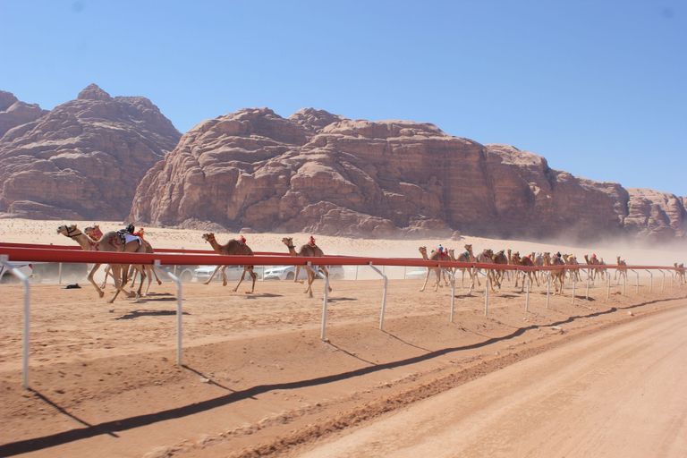 لقطة من السباق