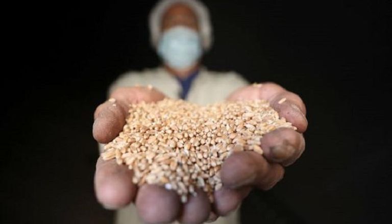 العراق يؤكد شراء 500 ألف طن من القمح الأمريكي