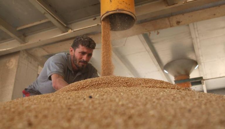 مصر تستهلك كميات كبيرة من القمح لأنها البلد العربي الأكثر سكانا