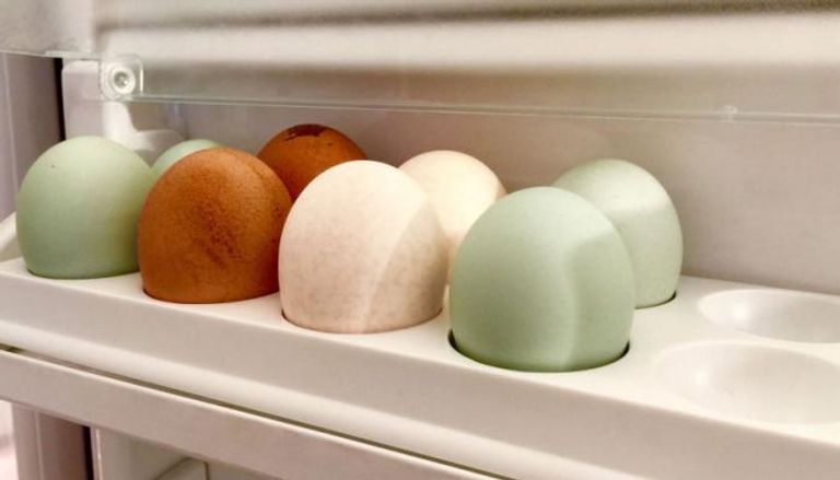 وضع البيض في باب الثلاجة يفسده