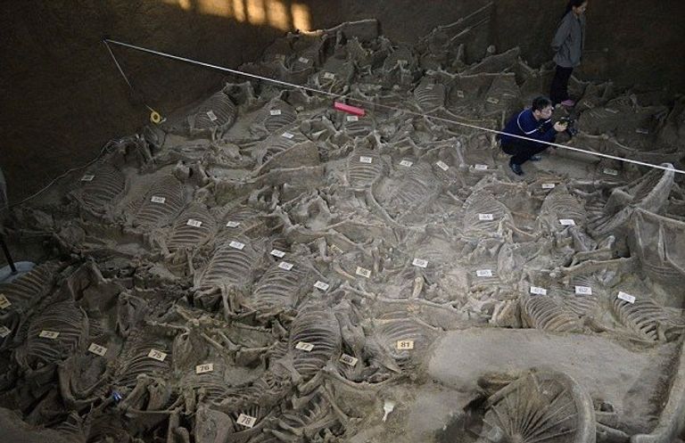 اكتشاف مقبرة أثرية في الصين